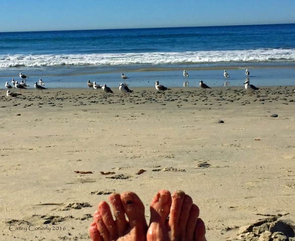 Casey feet at the beach 2_signed_